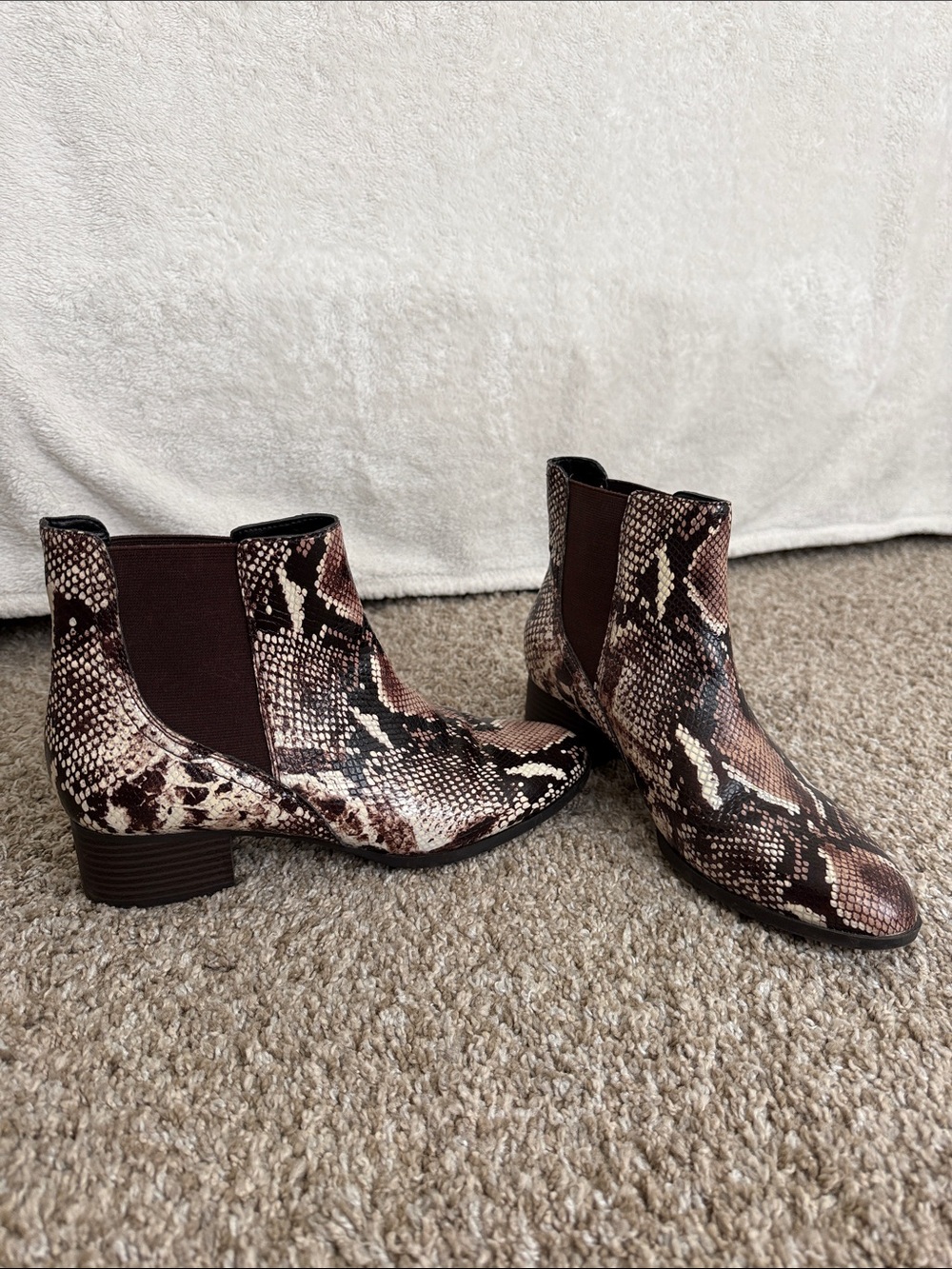 Alex Marie Brown Snake-Print Chelsea Booties